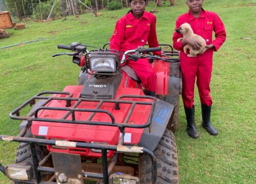 Quad Biking